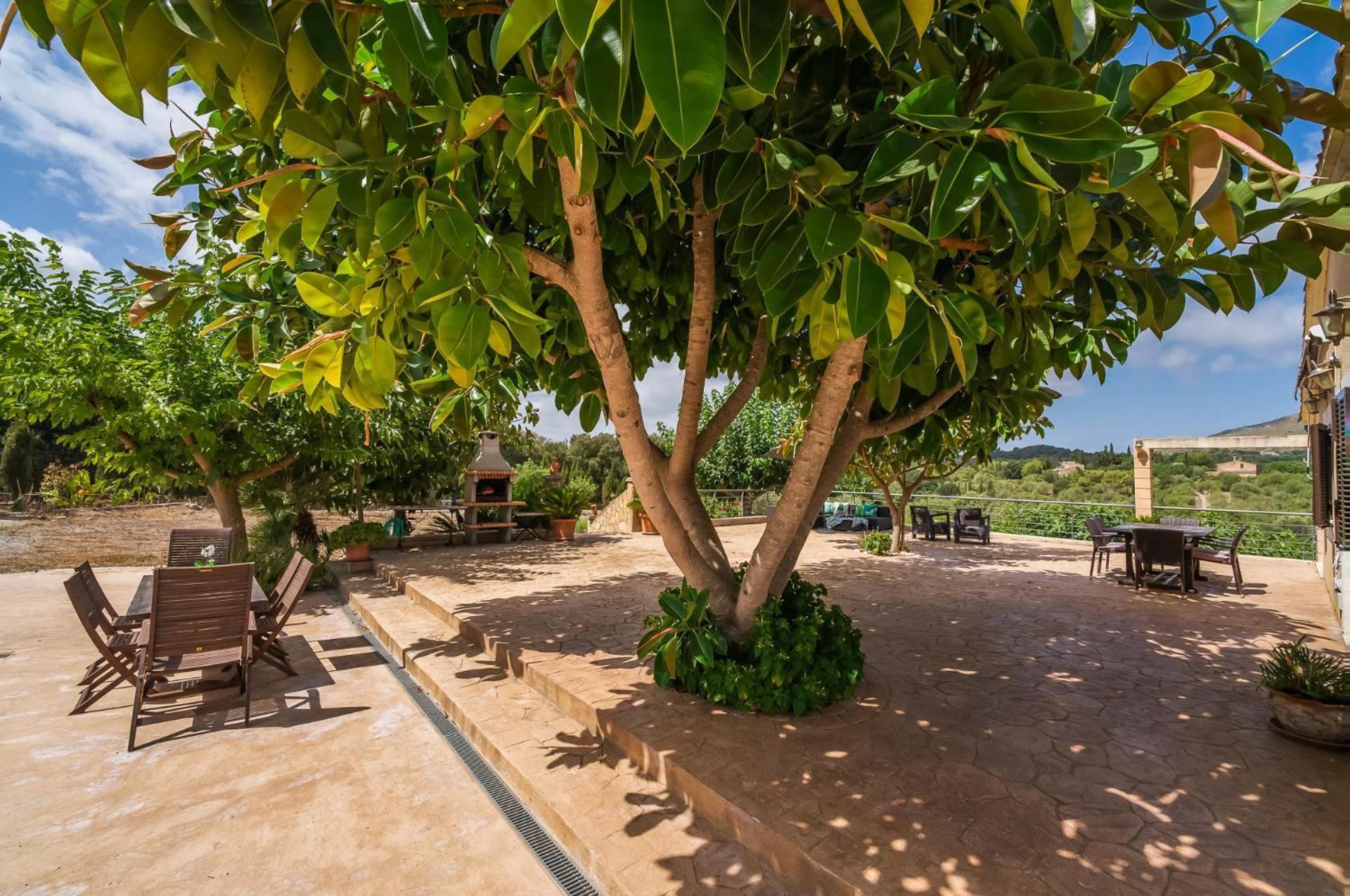Ideal Mallorca - Sementaret Landhuis Artá