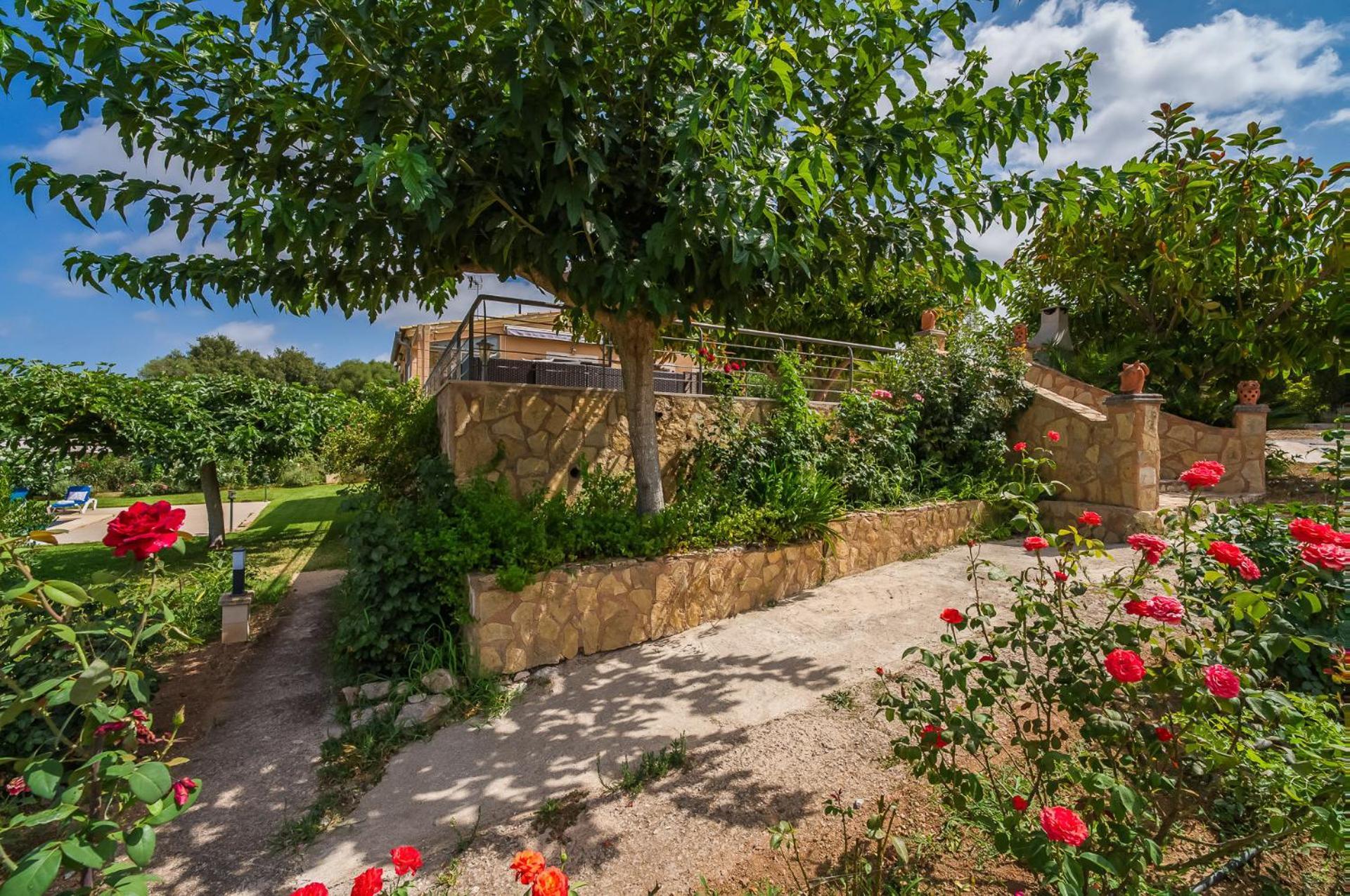Landhuis Ideal Mallorca - Sementaret